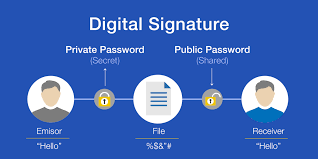 digital  Signature certificate in Chennai 